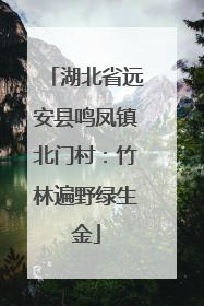 湖北省远安县鸣凤镇北门村：竹林遍野绿生金