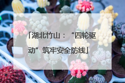 湖北竹山：“四轮驱动”筑牢安全防线