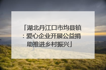 湖北丹江口市均县镇：爱心企业开展公益捐助推进乡村振兴