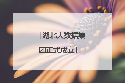 湖北大数据集团正式成立