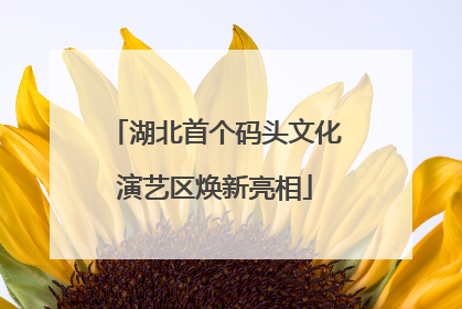 湖北首个码头文化演艺区焕新亮相