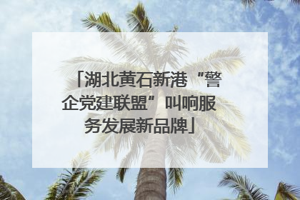 湖北黄石新港“警企党建联盟”叫响服务发展新品牌