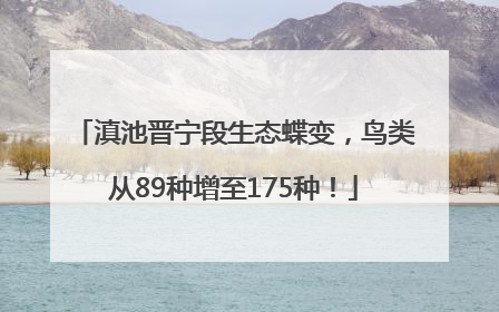 滇池晋宁段生态蝶变，鸟类从89种增至175种！