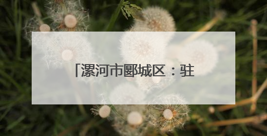 漯河市郾城区：驻村第一书记王元明带领群众走出致富路