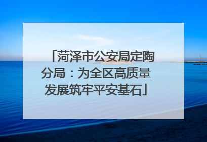 菏泽市公安局定陶分局：为全区高质量发展筑牢平安基石
