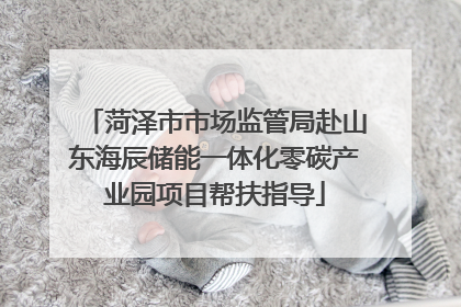 菏泽市市场监管局赴山东海辰储能一体化零碳产业园项目帮扶指导