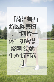 菏泽鲁西新区陈集镇：“四位一体”织密禁烧网 绘就生态新画卷