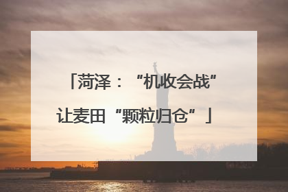 菏泽：“机收会战”让麦田“颗粒归仓”