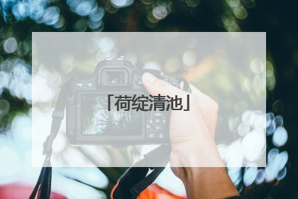 荷绽清池