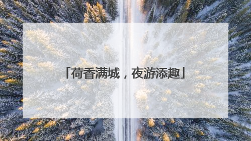 荷香满城，夜游添趣