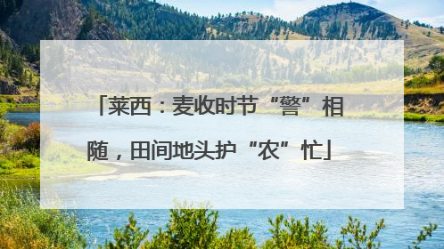 莱西：麦收时节“警”相随，田间地头护“农”忙