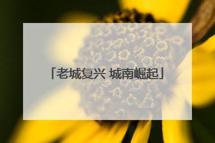 老城复兴 城南崛起