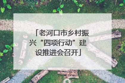 老河口市乡村振兴“四项行动”建设推进会召开
