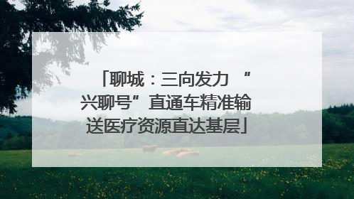 聊城：三向发力 “兴聊号”直通车精准输送医疗资源直达基层
