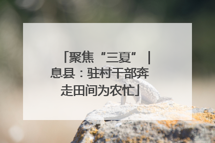 聚焦“三夏”｜息县：驻村干部奔走田间为农忙