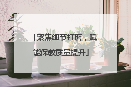聚焦细节打磨，赋能保教质量提升