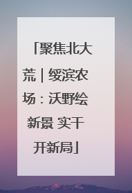 聚焦北大荒｜绥滨农场：沃野绘新景 实干开新局
