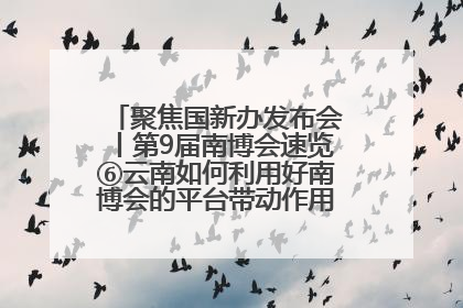 聚焦国新办发布会丨第9届南博会速览⑥云南如何利用好南博会的平台带动作用，深化与南亚国家的交流与合作？