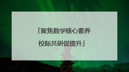 聚焦数学核心素养 校际共研促提升