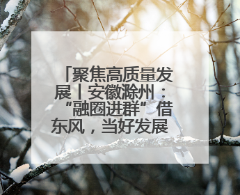 聚焦高质量发展丨安徽滁州：“融圈进群”借东风，当好发展“合伙人”
