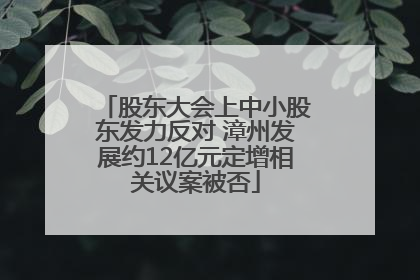股东大会上中小股东发力反对 漳州发展约12亿元定增相关议案被否