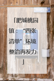 肥城桃园镇：“四张清单”环境整治再发力
