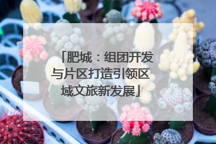 肥城：组团开发与片区打造引领区域文旅新发展