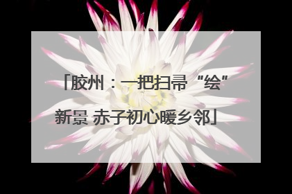 胶州：一把扫帚“绘”新景 赤子初心暖乡邻