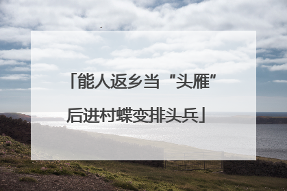 能人返乡当“头雁” 后进村蝶变排头兵