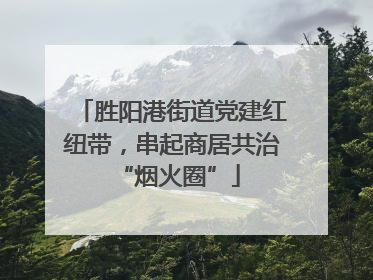 胜阳港街道党建红纽带，串起商居共治 “烟火圈”