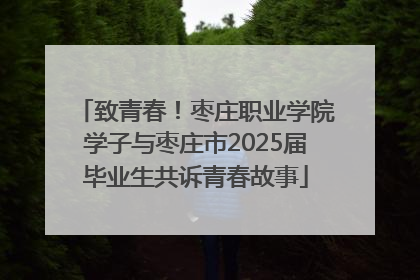 致青春！枣庄职业学院学子与枣庄市2025届毕业生共诉青春故事