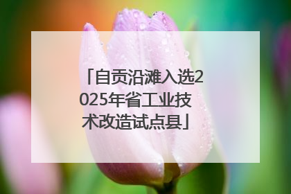 自贡沿滩入选2025年省工业技术改造试点县