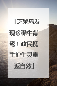 芝罘岛发现珍稀牛背鹭！政民携手护生灵重返自然