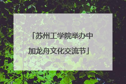苏州工学院举办中加龙舟文化交流节