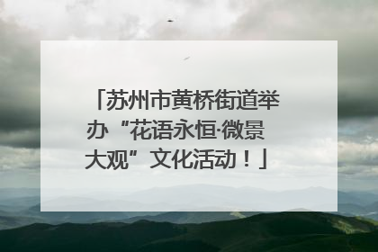 苏州市黄桥街道举办“花语永恒·微景大观”文化活动！