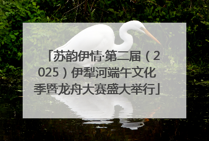苏韵伊情·第二届（2025）伊犁河端午文化季暨龙舟大赛盛大举行