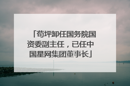 苟坪卸任国务院国资委副主任，已任中国星网集团董事长
