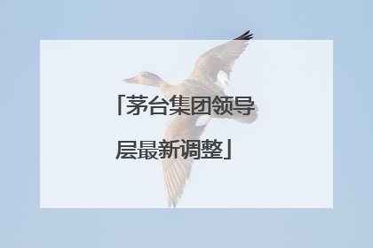 茅台集团领导层最新调整