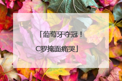 葡萄牙夺冠！C罗掩面痛哭
