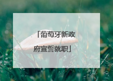 葡萄牙新政府宣誓就职