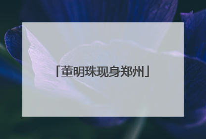 董明珠现身郑州