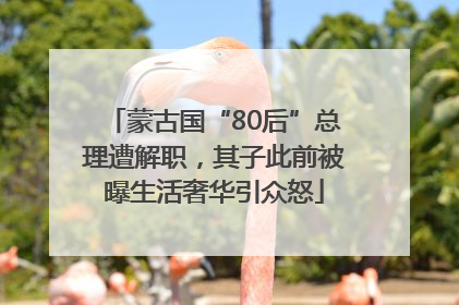 蒙古国“80后”总理遭解职，其子此前被曝生活奢华引众怒