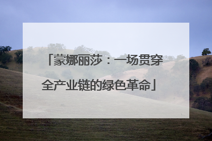 蒙娜丽莎：一场贯穿全产业链的绿色革命