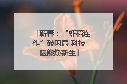 蕲春：“虾稻连作”破困局 科技赋能焕新生