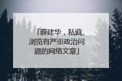 薛建华，私藏、浏览有严重政治问题的网络文章