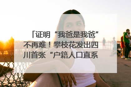 证明“我爸是我爸”不再难！攀枝花发出四川首张“户籍人口直系亲属关系谱”
