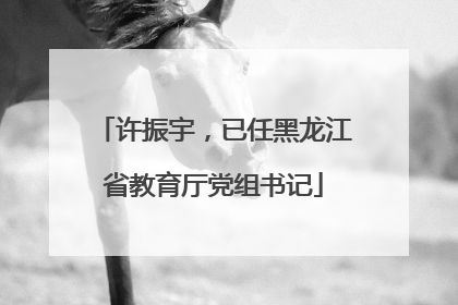 许振宇，已任黑龙江省教育厅党组书记