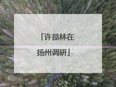 许昆林在扬州调研