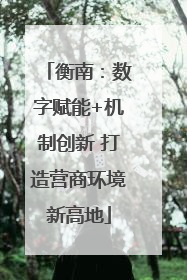 衡南：数字赋能+机制创新 打造营商环境新高地
