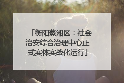 衡阳蒸湘区：社会治安综合治理中心正式实体实战化运行